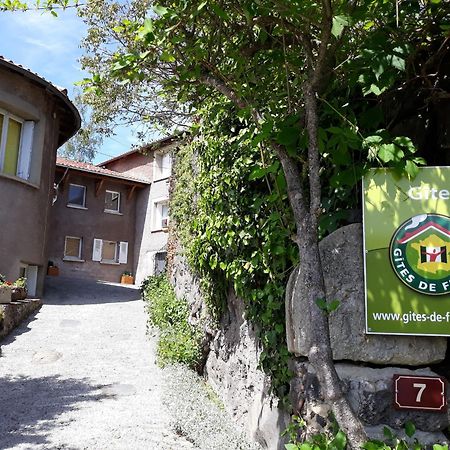 Grande Maison Au Coeur D'Un Village Historique Avec Terrasse Et Wifi Inclus - Fr-1-582-308 Saint-Vidal المظهر الخارجي الصورة