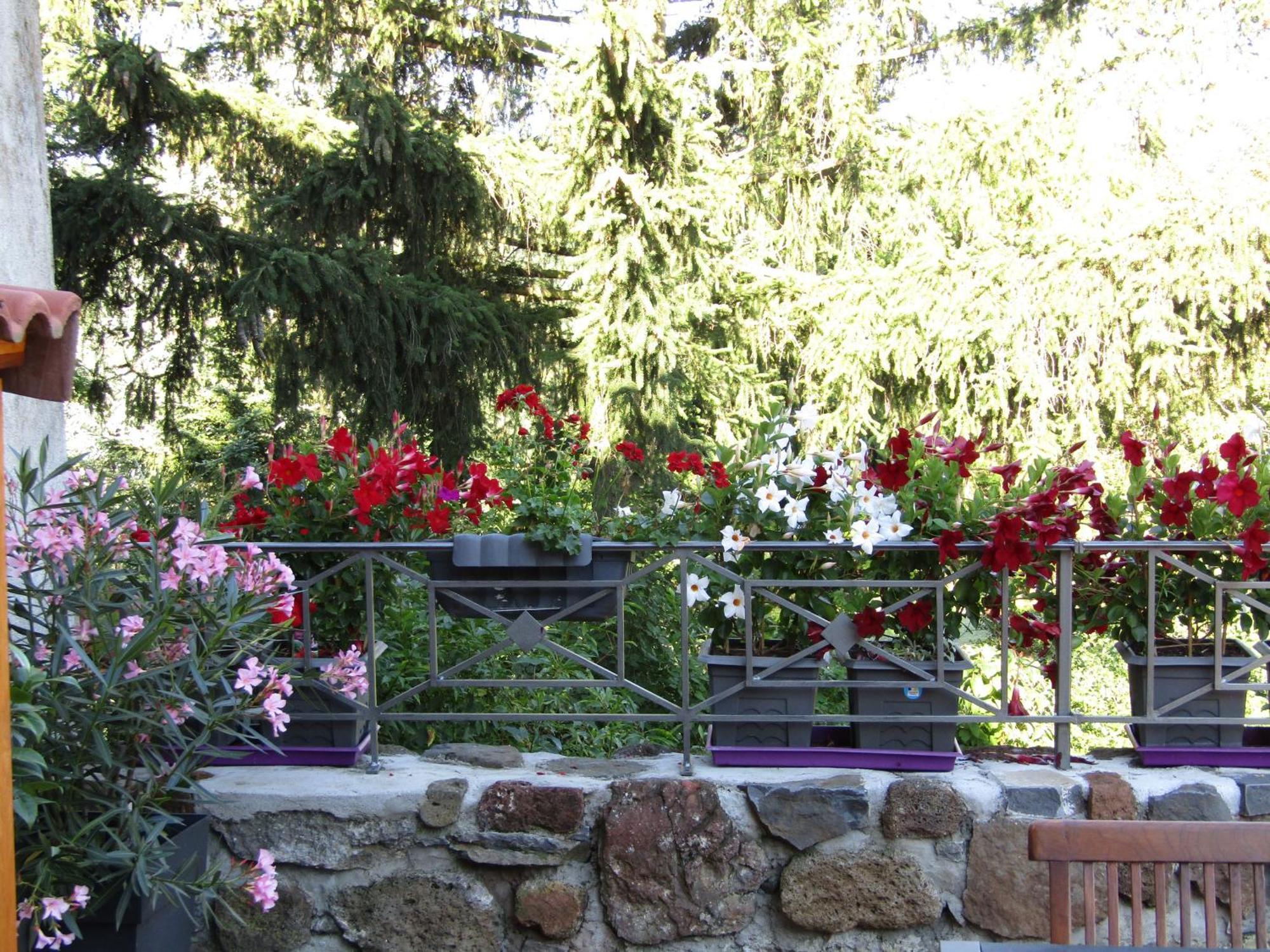 Grande Maison Au Coeur D'Un Village Historique Avec Terrasse Et Wifi Inclus - Fr-1-582-308 Saint-Vidal المظهر الخارجي الصورة
